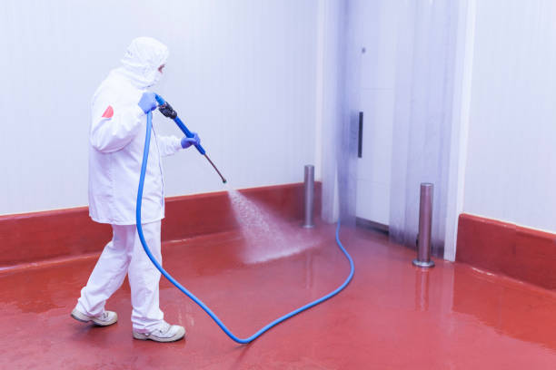 Best Machinery and Equipment Cleaning  in Avoca, IA
